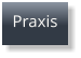 Praxis
