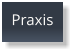 Praxis