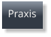 Praxis
